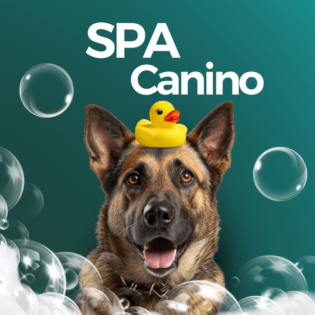 Coleção Spa Canino